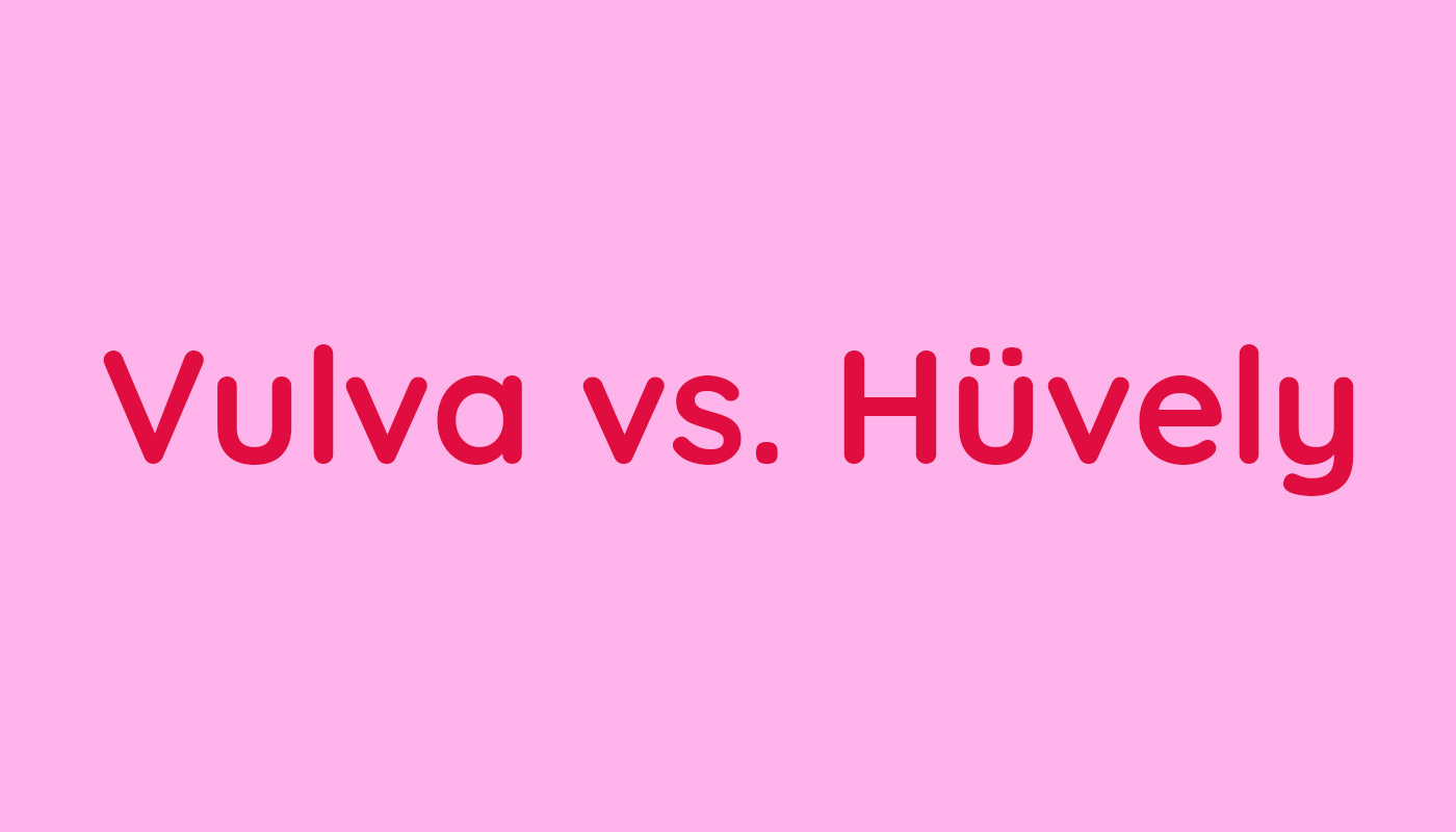 Vulva vs. Hüvely